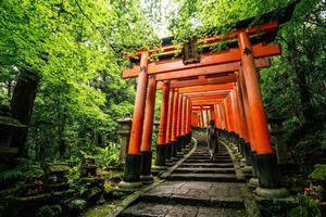 Nezu Shrine og byvandring i den gamle bydel Yanaka