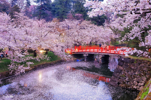 Nikko in a Day: Shrines, Waterfalls & Old Japan