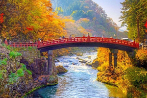 Tour privato di 1 giorno a Nikko da Santuario di Toshogu e cascate di Kegon
