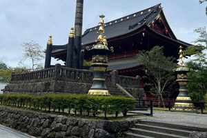 Nikko Private Day Tour With Guide