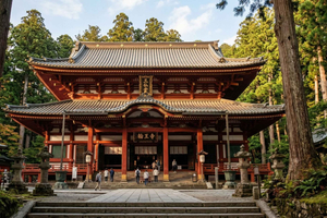 Nikko Private Tour with Waterfalls and Lake