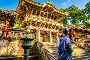 Nikko Small Group: Hotel Pickup, Kegon Falls & Toshogu