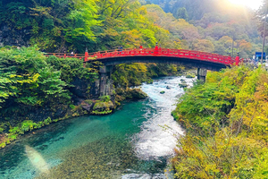 Visite privée d'une journée : patrimoine UNESCO et joyaux cachés de Nikko