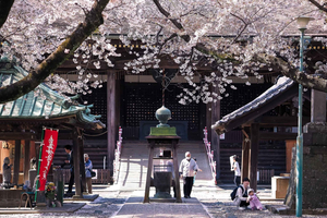 Private Chiba Day Tour: Red Panda Punch, Temple & Bay Tower