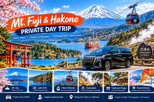 Privat skræddersyet luksustur til Fuji-bjerget og Hakone