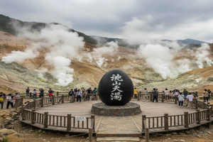 Private Hakone Day Escape from Tokyo with Scenic Stops