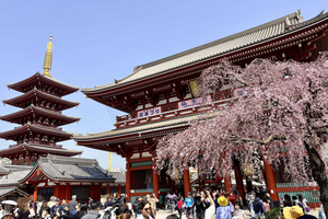 Private Half-Day Highlights Tour by Car with Guide