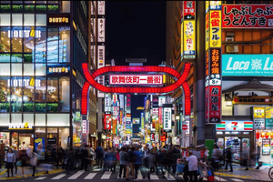Privat tur til Harry Potter-studiet og 3D-katten i Shinjuku