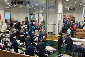 Private Toyosu & Tsukiji Market Adventure with Tuna Auction