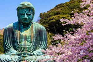 Sacred Kamakura & Yokohama Full-Day Tour with English Guide