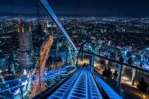 Shibuya After Dark, Neon Streets & Skyline View