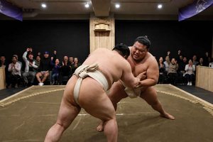 Shibuya Sumo Show with Sumo Experience & Photos