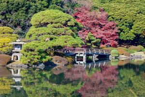 Shinjuku Gyoen National Garden Guided Walking Tour