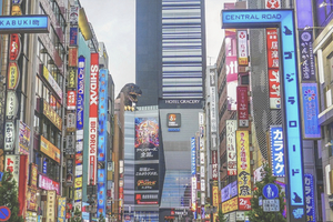 Shinjuku Walking Tour with Local Guide