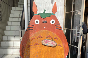 Studio Ghibli Origins Walking Tour
