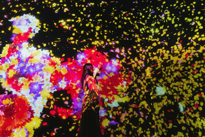 teamLab, Azabudai Hills & National Art Center Tour
