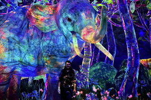 TeamLab Planets & Odaiba Bay Tour