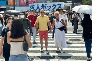 Tokyo: 1-Day Private Customizable Tour by Car