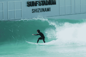 Tokyo | 2-Day Shizuoka Surfing + Hakone Hot Springs Tour