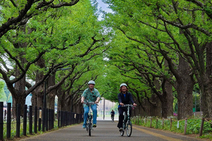 Tokyo: 3h Private E-bike Tours, Starting at Your Hotel