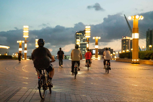 Tokyo Bay-området: Guidet tur på elcykel på 3 timer med udsigt ved solnedgang