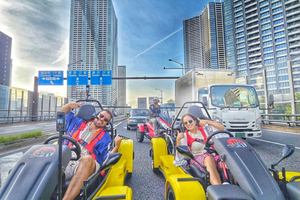 Tokyo Bay: Go-karttur med naturskøn skyline (90 minutter)