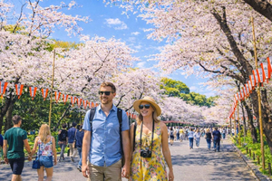 Tokyo Cherry Blossom Day Tour: Asakusa,Chidorigafuchi & Ueno