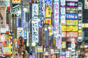 Tokyo City Private Tour With English Guide Hotel Pick & Drop