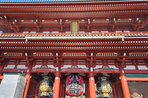 Tokyo City Tour with Haneda or Narita Airport Transfer
