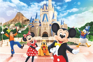 Tokyo Disneyland Ticket & Shared Transfer (Asakusa/Shinjuku)