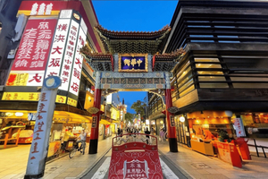 Tokyo Food & Culture Private Tour & Authentic Yakitori Lunch