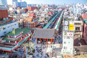Tokyo Full Day Private City Tour by Car with English Driver