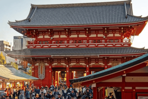 Tokyo Full-Day Private Customizable Tour with English Guide