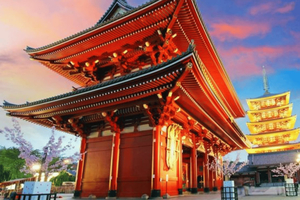 Tokyo Full Day Private Customizable Tour with Guide