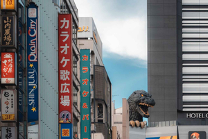 Tokyo full day Spanish speaking tour with hotel pick up and drop off.