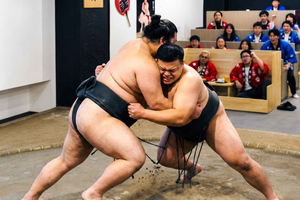 Tokyo Ginza Sumo Show: Live Performance & Photo Experience