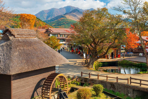 Tokyo: Hakone Ropeway, Museum, Shrine Private Full Day Tour