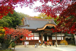Tokyos skjulte perle, et gammelt tempel og tidløst Japan: rundtur