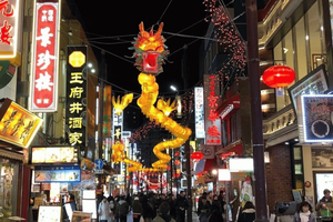 Tokyo: Kamakura and Yokohama Private Car Tour