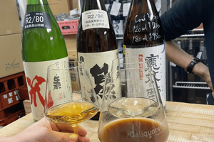 Tokyo Kanda Izakaya food Sake Drinking hopping Tour