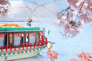 Tokyo Limited-Date Cherry Blossom Route Cruise & Show & Meal