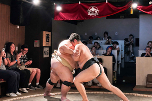 Tokyo Live Sumo Show & Interactive Experience