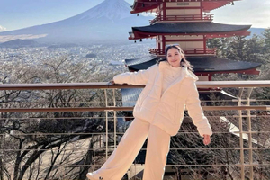 Tokyo: Mount Fuji and Hakone Private Day Trip with driver