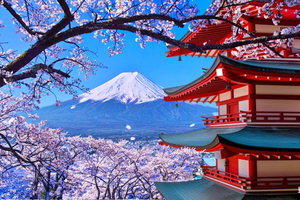 Tokyo: Mount Fuji Day Tour, Oshino Hakkai, Lake Kawaguchi