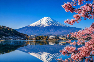 Privat tur til Fuji-bjerget (tilpasset) med guide