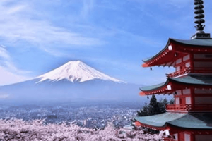 Tokyo : Mount Fuji Full Day Private Customizable Tour