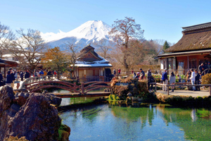 Tokyo: Mt. Fuji, Kamakura, Big Buddha, & Lake Ashi Day Trip