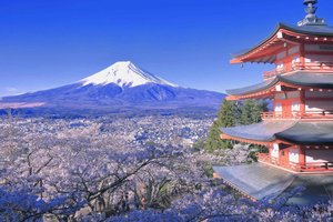 Tokyo: Mt. Fuji & Lake Kawaguchi Small Group Tour - 6 Spots