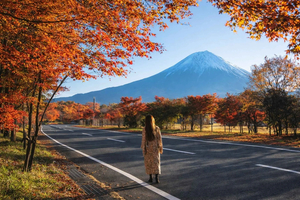 Tokyo: Mt Fuji One Day Private Customizable Top Sights Tour