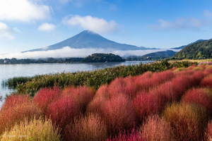 Tokyo, Mt. Fuji & Yokohama: 5-Day Highlights Tour